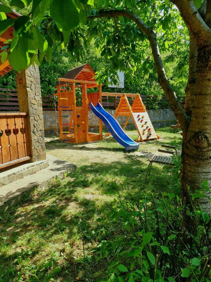 Pensiunea Moldova Piatra Neamţ Exterior foto